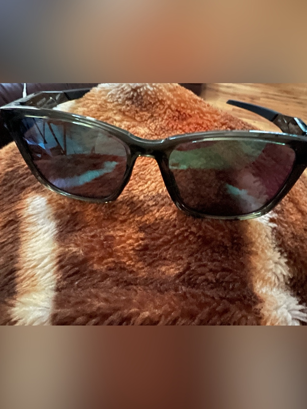Oakley Sunglasses
